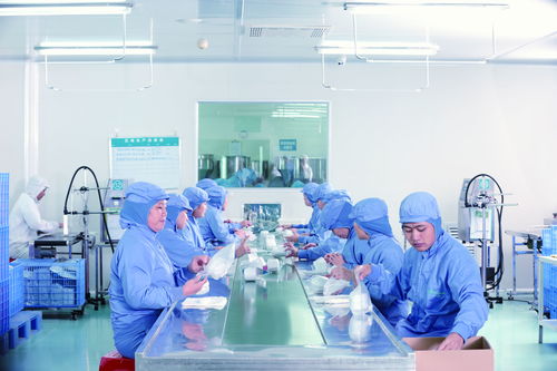 化妝品企業為何選擇OEM代加工？——以思特集團廣州索柔為例